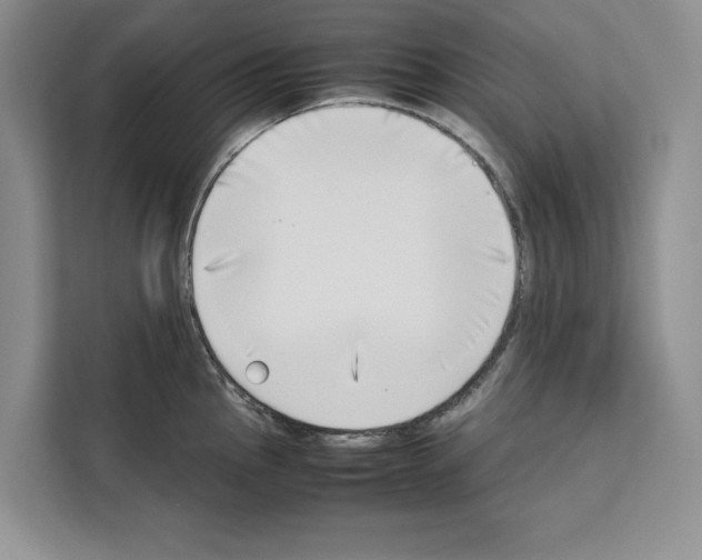 X0000111651145200908281044
