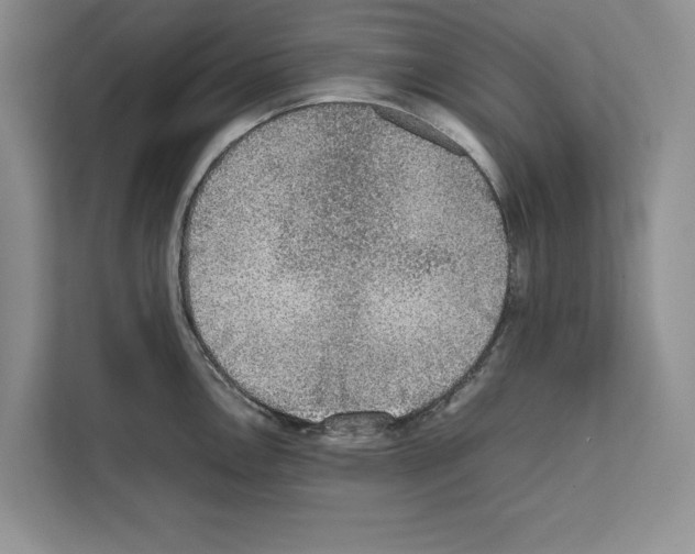 X0000111651146200908281044