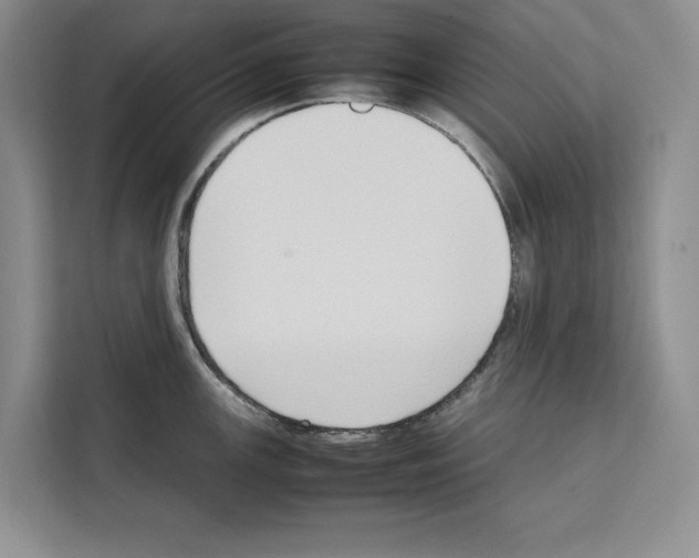X0000111651147200908281044
