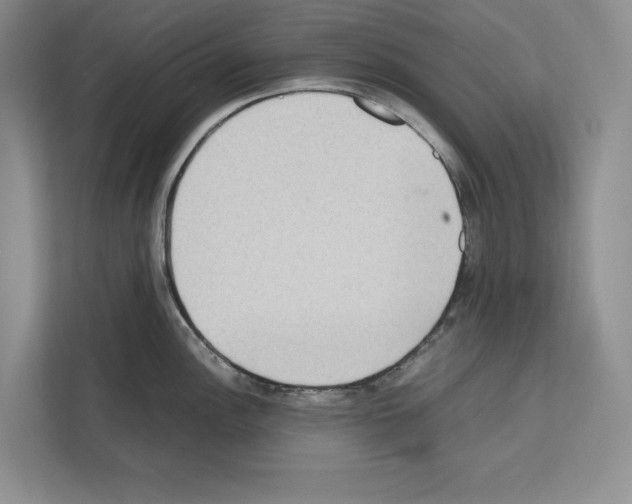 X0000111651148200908281044