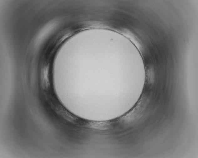 X0000111651150200908281044