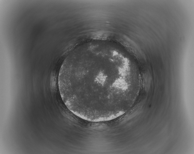 X0000111651154200908281043