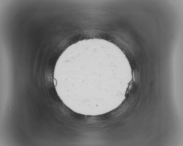 X0000111651155200908281043