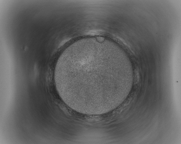 X0000111651158200908281043
