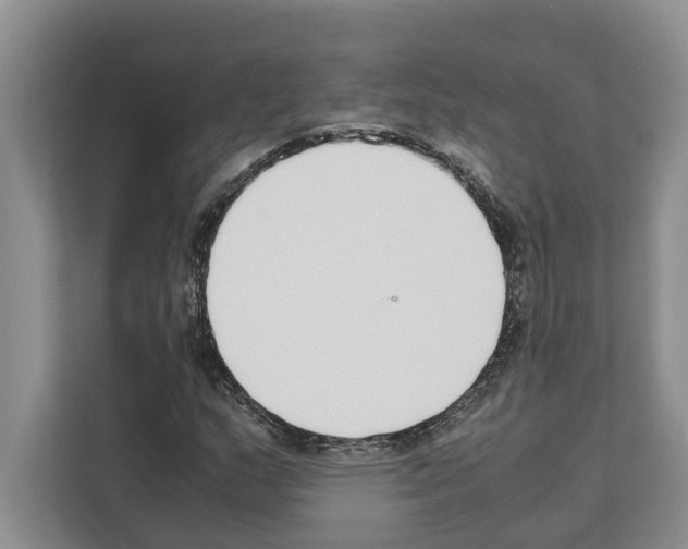 X0000111651159200908281043