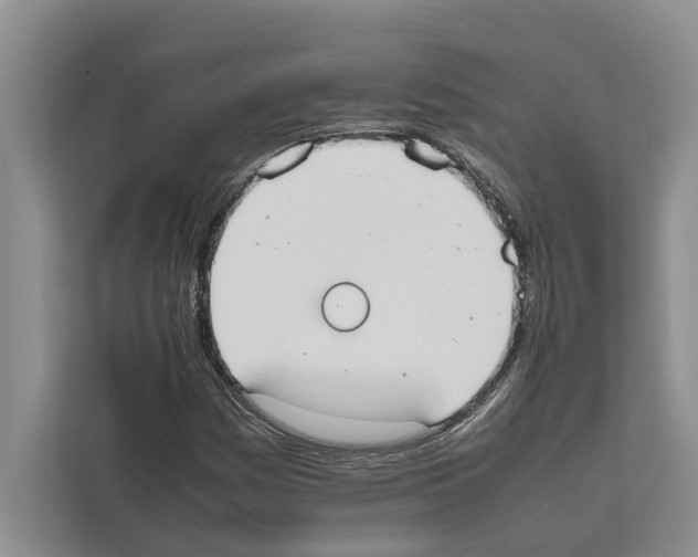 X0000111651161200908281043