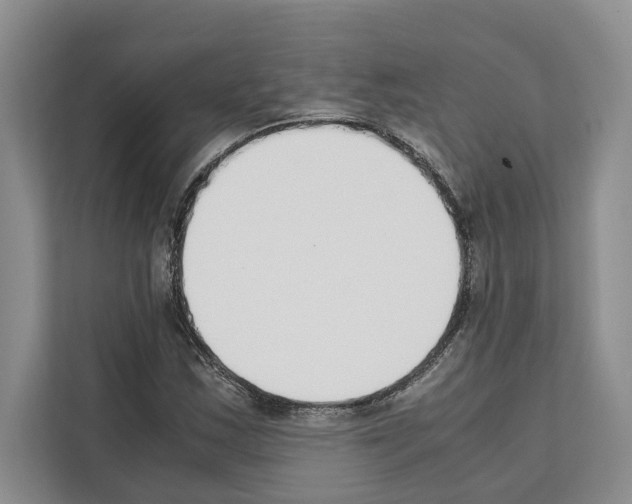 X0000111651163200908281043