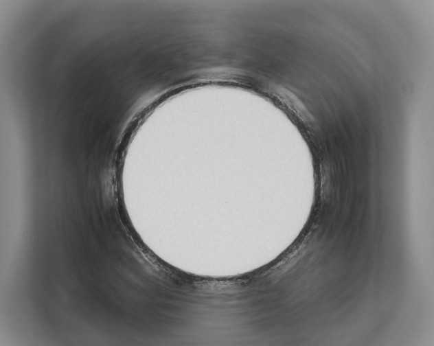 X0000111651164200908281043
