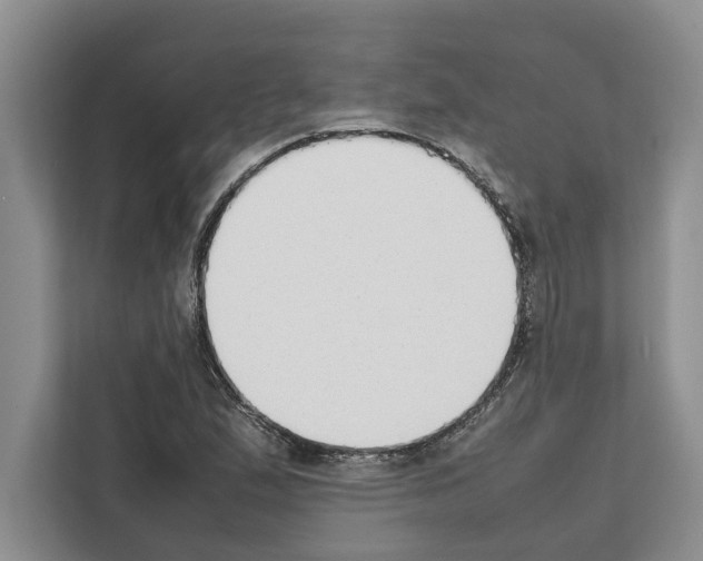 X0000111651167200908281043