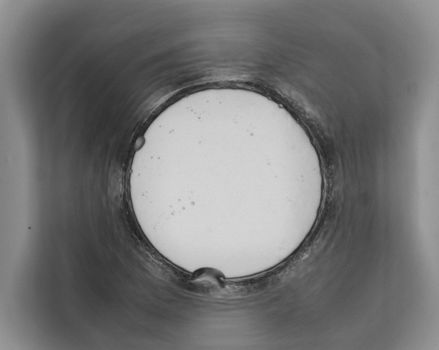 X0000111651169200908281043