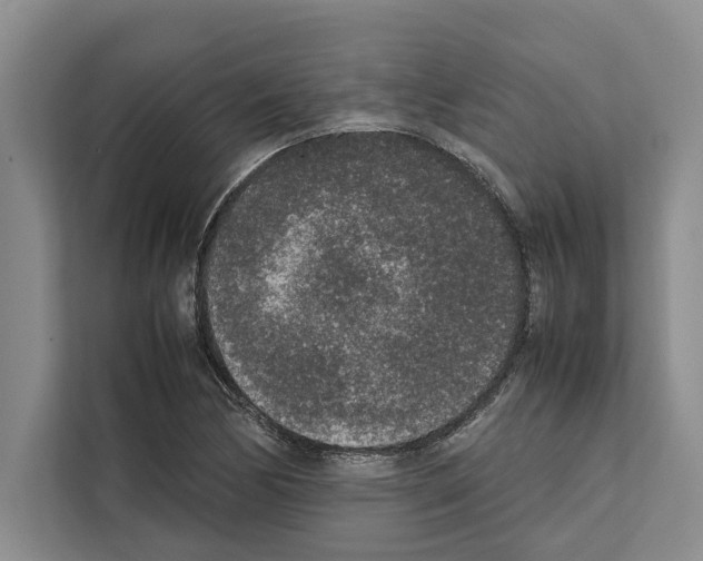 X0000111651170200908281043