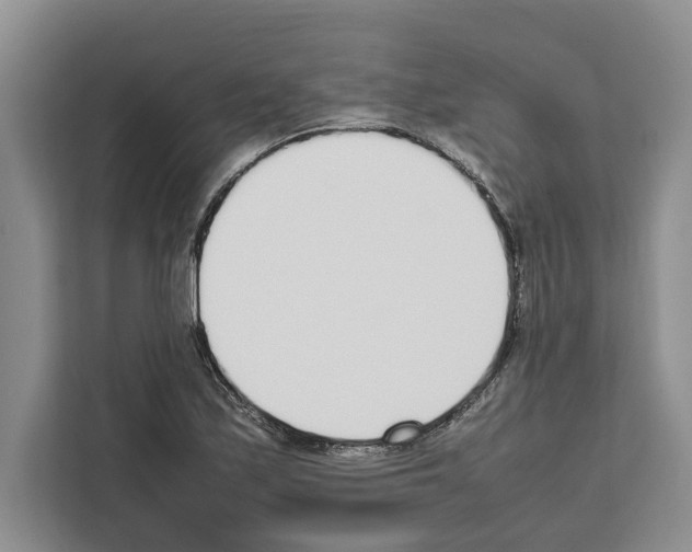 X0000111651171200908281043