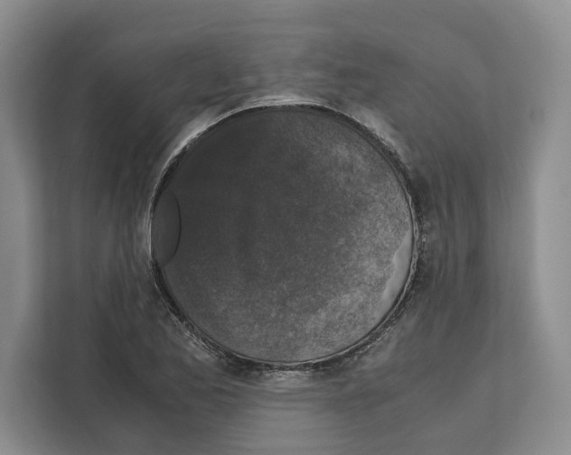 X0000111651173200908281043