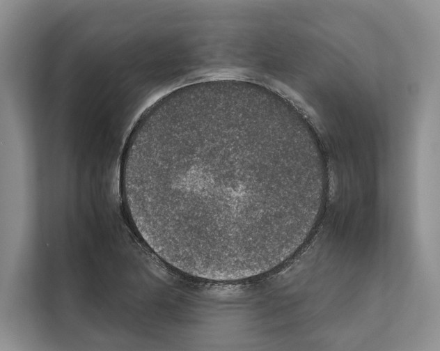 X0000111651174200908281043