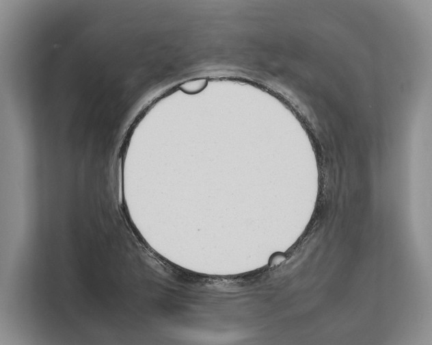 X0000111651175200908281043