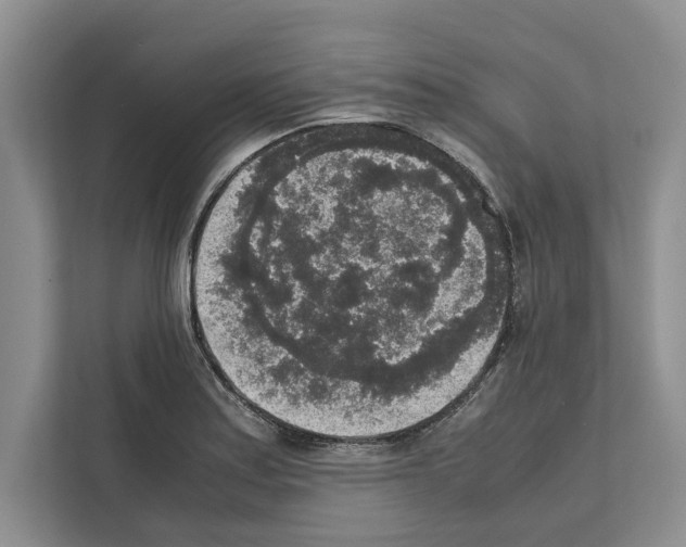 X0000111651179200908281043