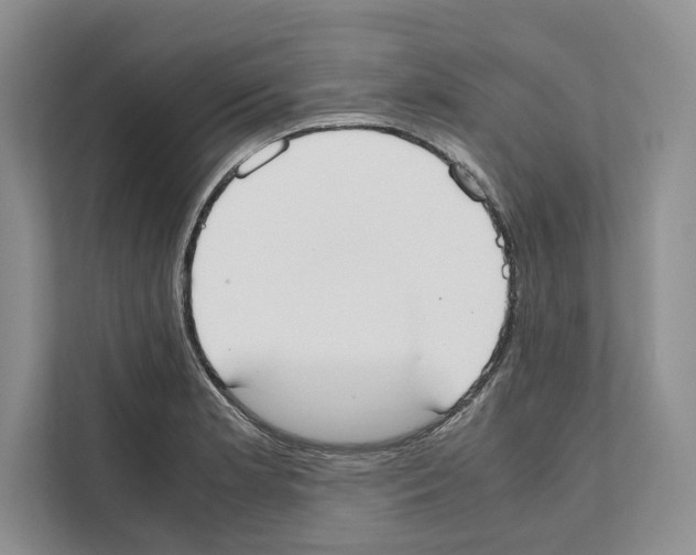 X0000111651181200908281043