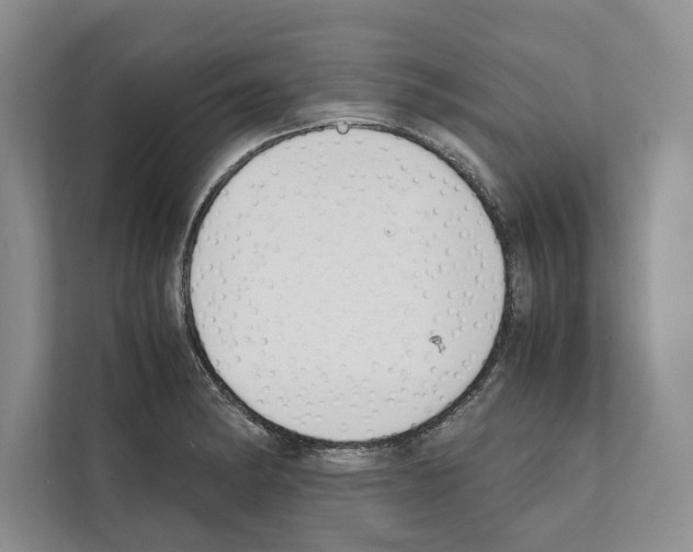 X0000111651182200908281043