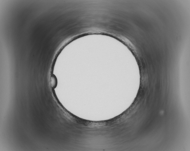 X0000111651183200908281043