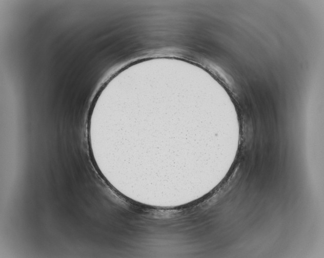 X0000111651184200908281043