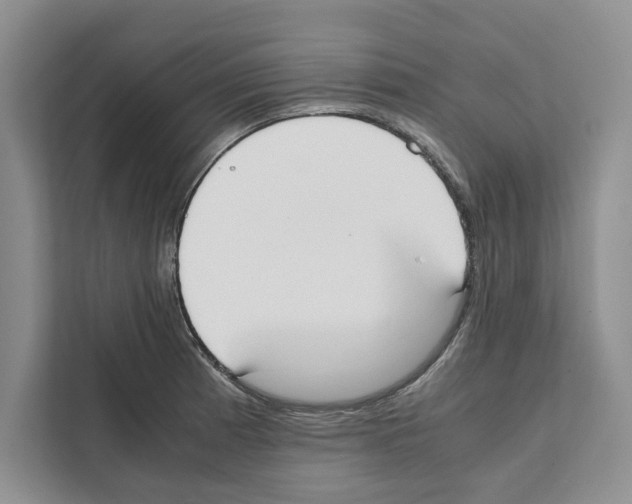 X0000111651185200908281043