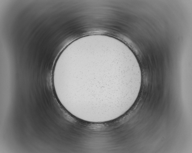 X0000111651186200908281043