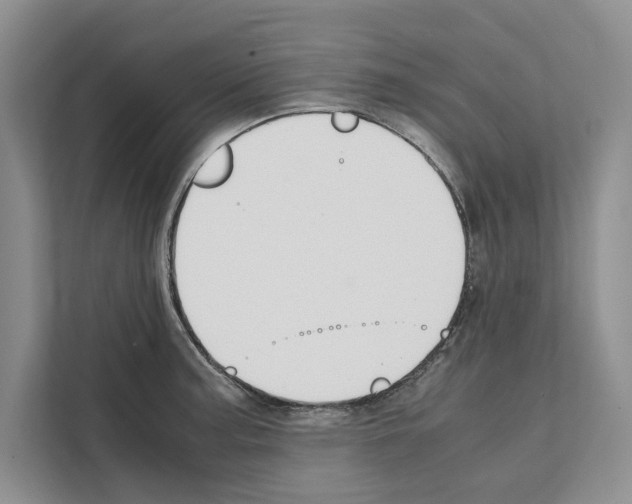 X0000111651187200908281043