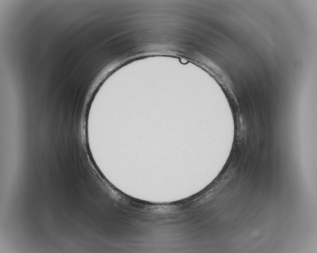 X0000111651188200908281043