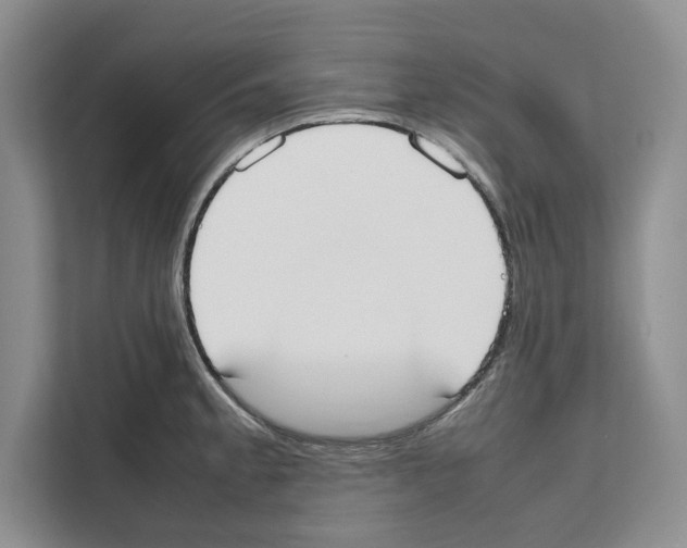 X0000111651189200908281043