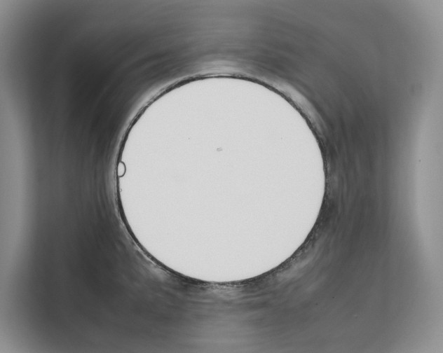 X0000111651191200908281043