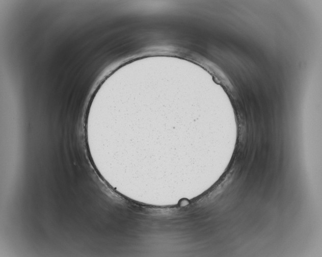 X0000111651192200908281043