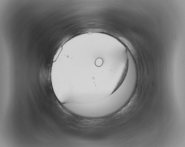 X0000111651193200908281043