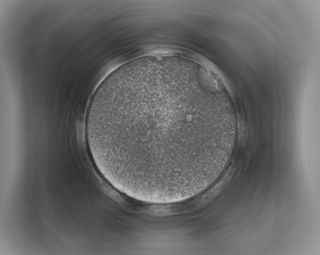 X0000111651194200908281043