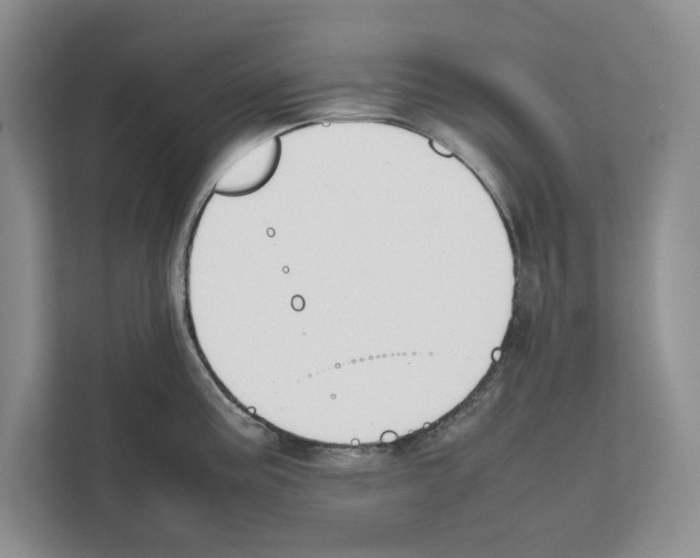 X0000111651195200908281043