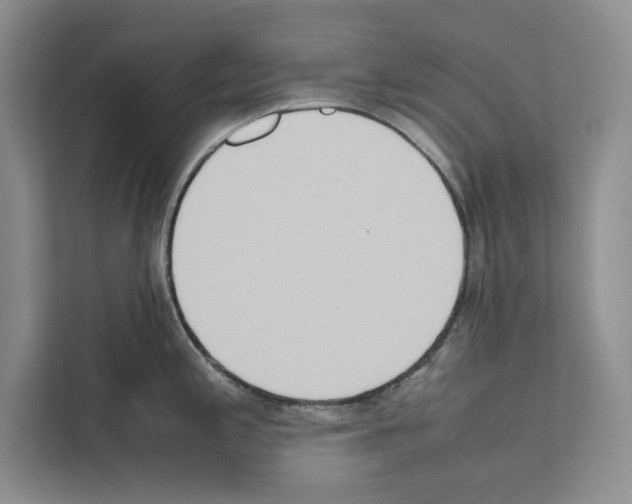 X0000111651197200908281043