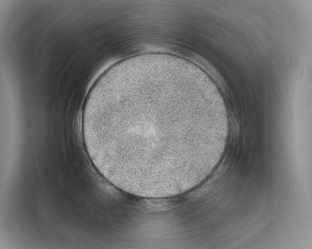 X0000111651198200908281043