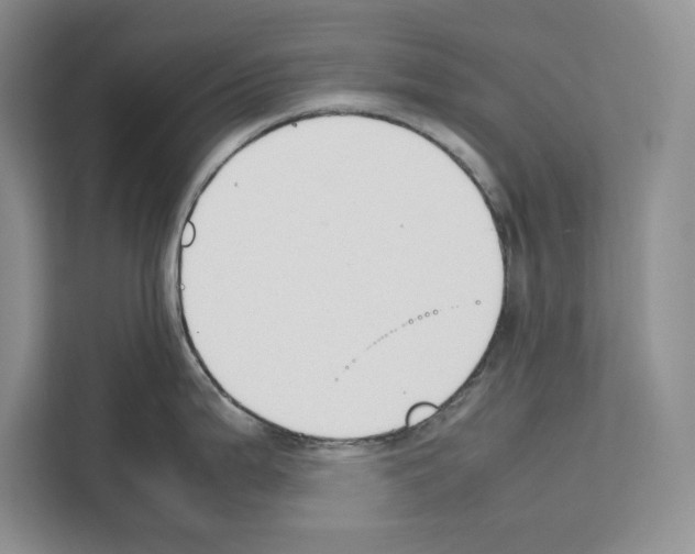 X0000111651199200908281043