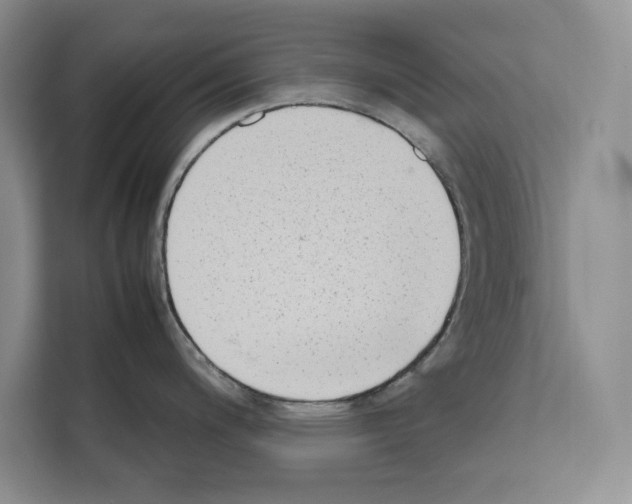 X0000111651200200908281043