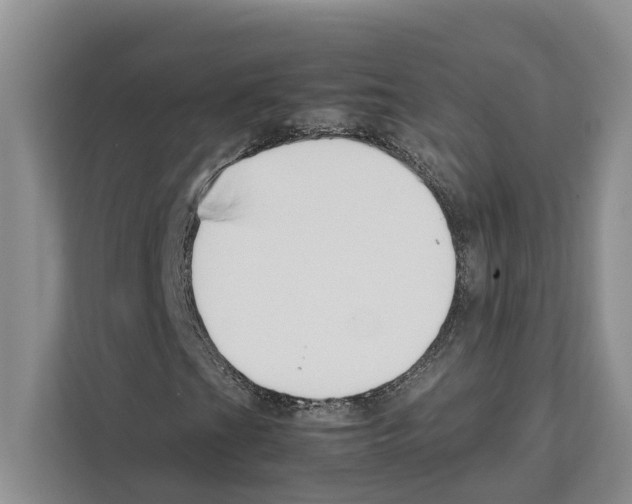 X0000111651201200908281042