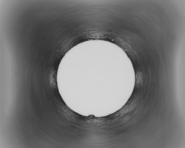 X0000111651202200908281042