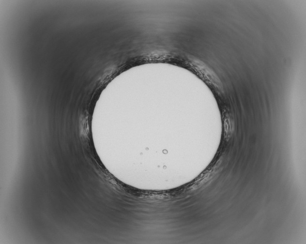 X0000111651204200908281042