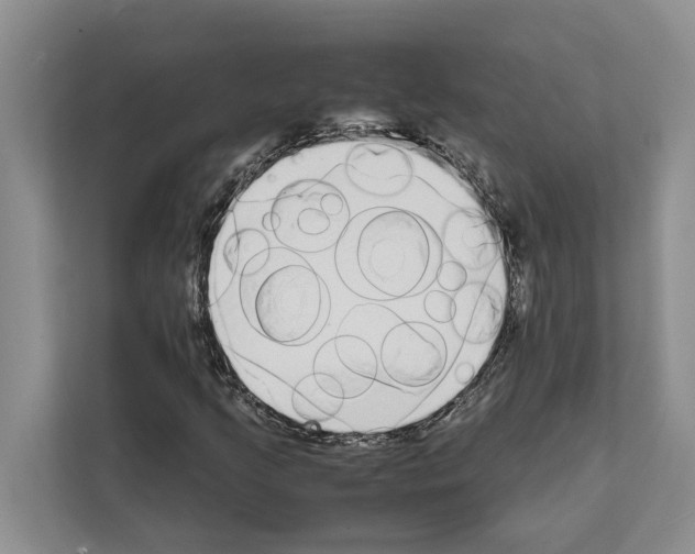 X0000111651205200908281042