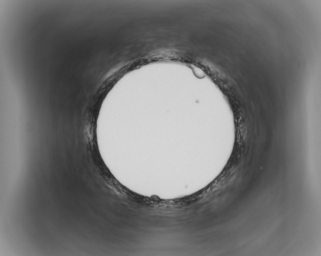 X0000111651206200908281042