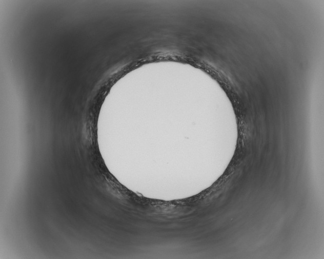X0000111651207200908281042
