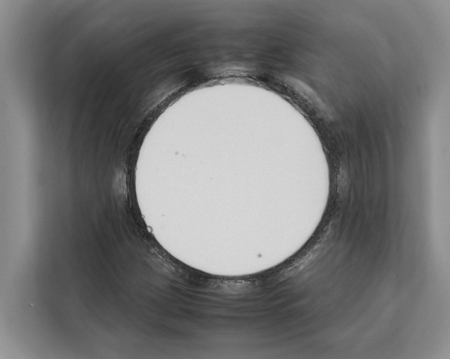 X0000111651209200908281042