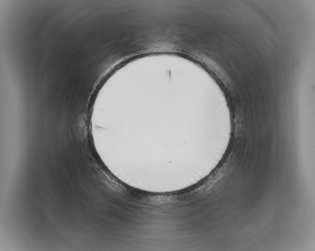 X0000111651212200908281042