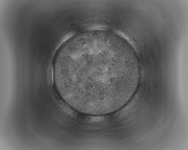 X0000111651219200908281042