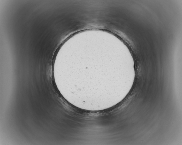 X0000111651220200908281042