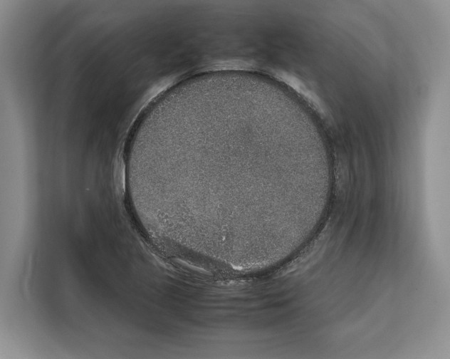 X0000111651221200908281042