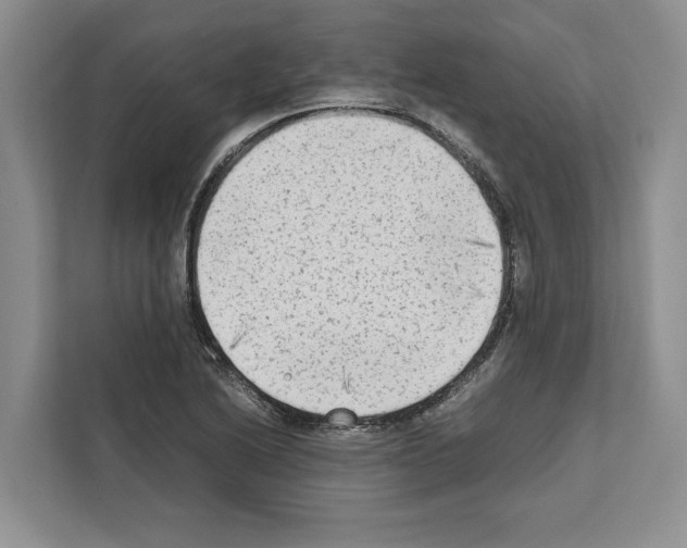 X0000111651222200908281042